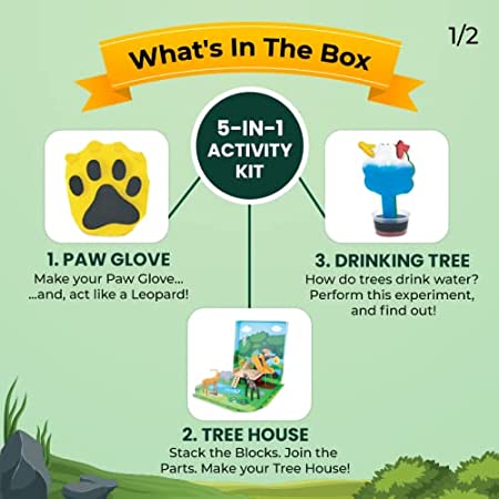 Smartivity Jungle Explorer Activity Kit FirstToyz® - Indian online toys store